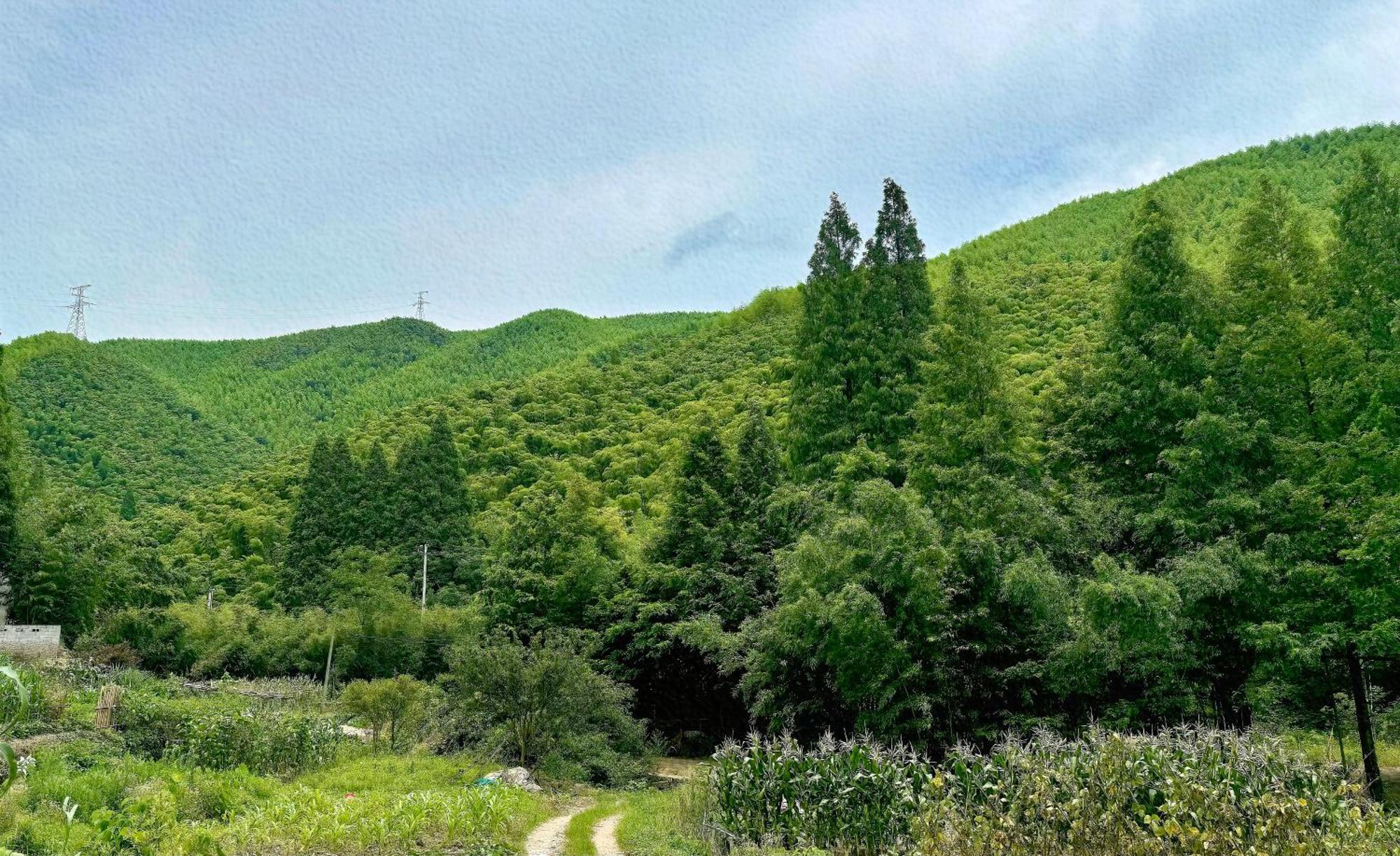 Deqing Moganshan Arcadia Resorts מראה חיצוני תמונה